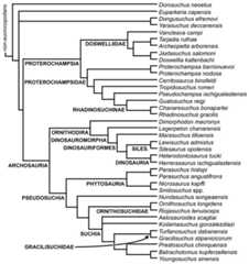 Strict reduced consensus tree recovered from analysis 3 showing the phylogenetic relationships of eucrocopodan archosauromorphs after the a posteriori pruning of Kalisuchus rewanensis and Asperoris mnyama.