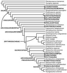 Fourth strict reduced consensus tree recovered from analyses 1 and 2.