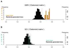 Stratigraphic congruence scores (GER and SCI) of the ‘chelonioid matrix’: (A) GER scores for the ‘chelonioid matrix’; (B) SCI scores for the ‘chelonioid matrix’