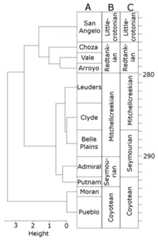 The time bins used in the diversity analysis.