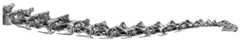 Neck of Diplodocus carnegii holotype CM 84, as reconstructed by Hatcher (1901: plate XIII), with 15 undamaged cervical vertebrae.