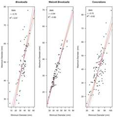 Model II standard major axis (SMA) regressions between maximum and minimum diameter for Brooksella, Walcott’s Brooksella, and concretions.