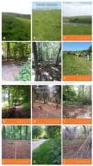 Seven Sisters Country Park, and Queen Elizabeth Country Park.