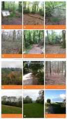 The Mens, and Cowdray Estate.