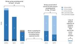 Ticks collected on-transect (by life stage, species, month, and seasonal sampling period) from sites in the South Downs National Park drag-sampled both 2015 and 2016.