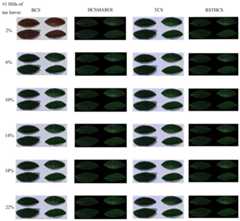 Comparison of reconstructed #1 HSIs of tea leaves at different sampling rates.