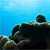 Pacific Islands & Australasia