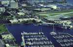 Aerial View of University of South Florida St. Petersburg, St. Petersburg, Florida, 1991 by University of South Florida St. Petersburg