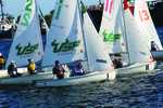 2016 Sailing Team Championship, Charleston, South Carolina by University of South Florida St. Petersburg