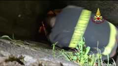 Quasi sei ore intrappolato in un cunicolo di 50 centimetri. E poi, dopo tanta sofferenza, liberato dai vigili del fuoco. Una storia a lieto fine quella accaduto ieri a Sesto Fiorentino in Via di Lungo Gavine, dove i pompieri hanno salvato un cane ...