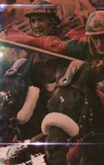 Palio di Siena 2025, la guida completa e...