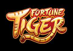tiger fortune