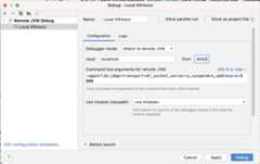 idea-remote-debug-setup
