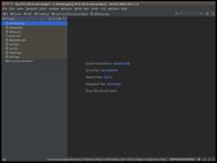 sdk-dev-env-intellij-finish