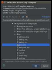 sdk-dev-env-intellij-import