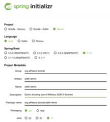 View the completed spring-initializr project info