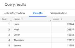 The query results panel