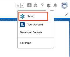 Open the Setup page in the Salesforce platform.