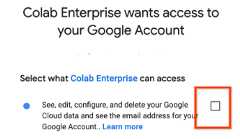 The checkbox is next to a statement that says, "See, edit, configure, and delete your Google Cloud data and see the email address for your Google Account."