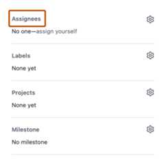 Screenshot of the right sidebar of an issue. A header, labeled "Assignees", is outlined in dark orange.