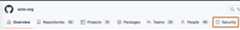 Screenshot of the horizontal navigation bar for an organization. A tab, labeled with a shield icon and "Security," is outlined in dark orange.