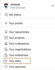 Screenshot of the profile menu for octocat. The "Your stars" option is highlighted with an orange outline.
