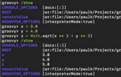 Usage of the /show command