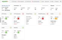 Dashboard tab in NGINX Plus live activity monitoring dashboard