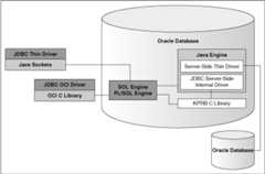 Architecture of Oracle JDBC drivers and Oracle Database.