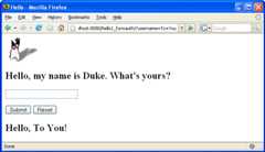 Screen shot of running form-based web application showing response