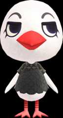 Piper