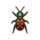 Tiger Beetle NH Icon.png