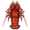 spiny lobster