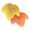 Fall HHP Menu Icon.png