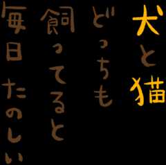 犬と猫どっちも飼ってると毎日たのしい