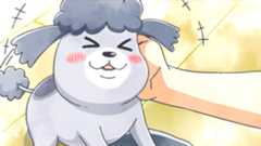 犬と猫