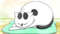 犬と猫