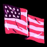 US Flag