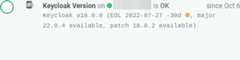 keycloak-version
