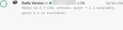 redis-version