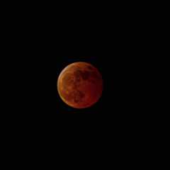 Blood Moon  