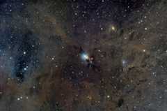 NGC 1333, the Embryo Nebula  