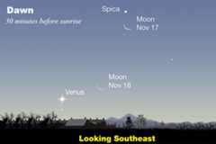 Waning crescent Moon at dawn passing Spica and Venus, Nov. 17-18, 2025