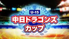 中日ドラゴンズカップ