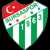 logo of Bursaspor