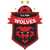 logo of Wollongong Wolves FC