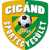 logo of Cigánd SE