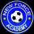 logo of New Force Academy