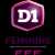 logo of Division 1 Féminine