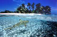 Cocos Islands Keeling Islands VK9EC 